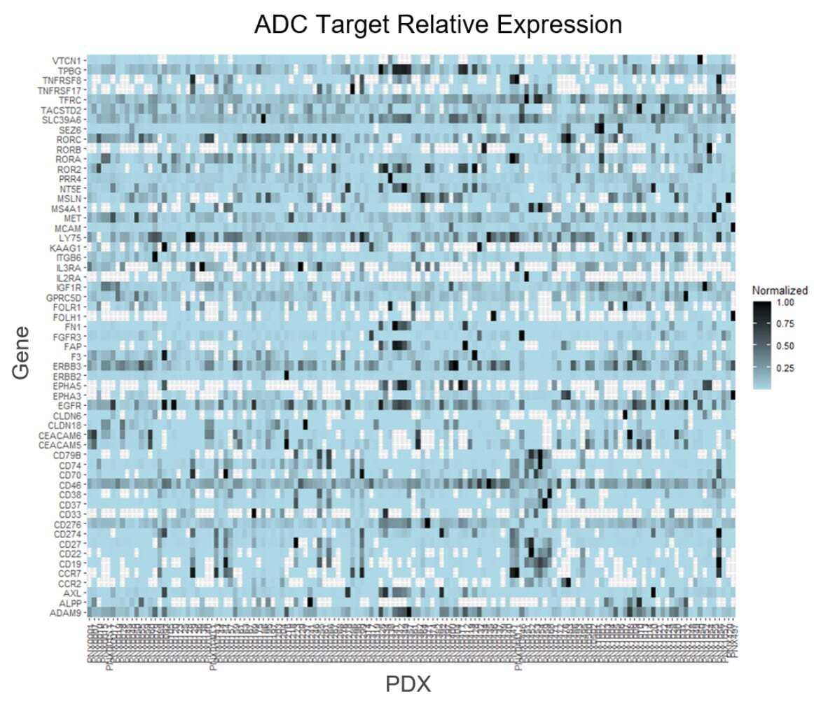 ADC_Target_Rel_Expression