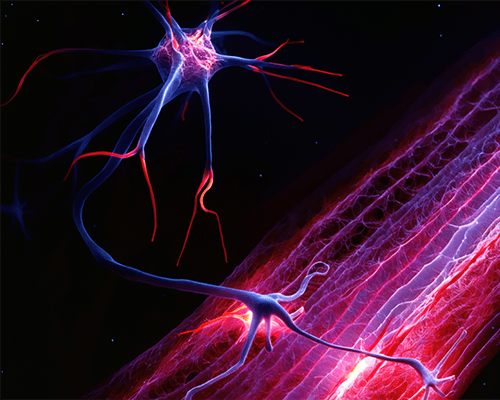 GettyImages-2162367268_small