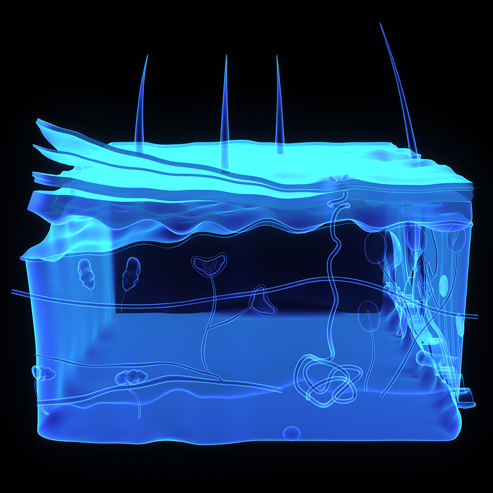 GettyImages-534423415_Small