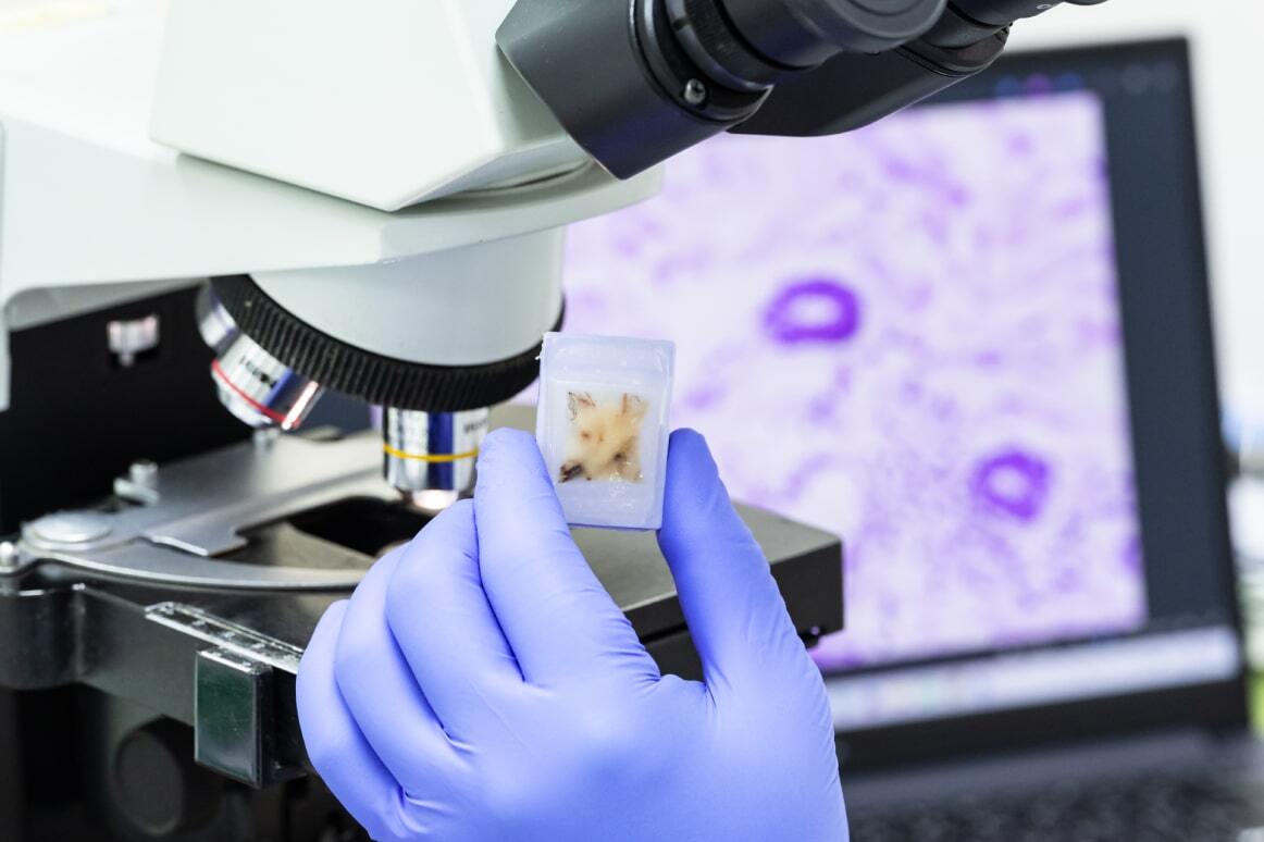 IND-enabling research