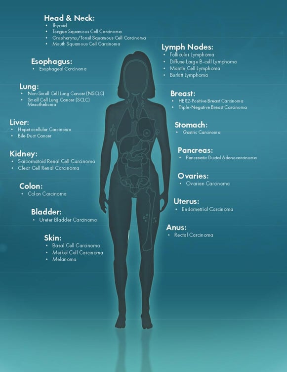 PDxModel_Anatomic_Site