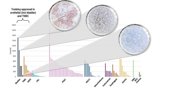 Trop-2_Expression_Across_PDXs