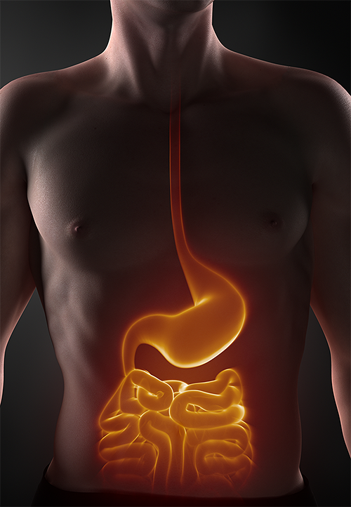 iStock_23345925_GI-2